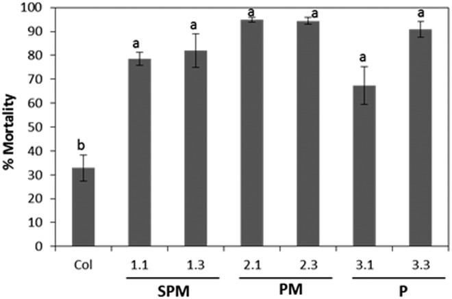 Fig 5