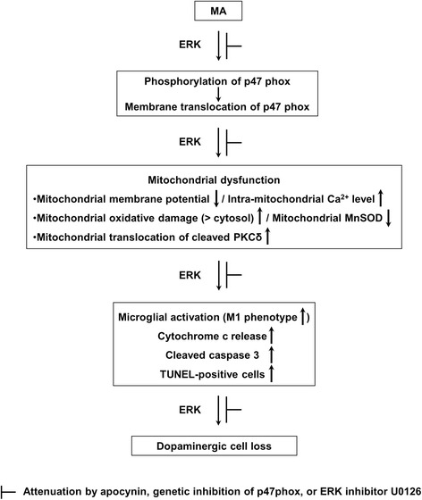 Fig. 10