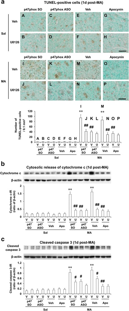 Fig. 8