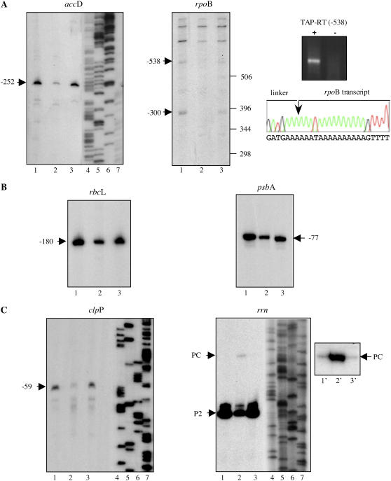 Figure 4.