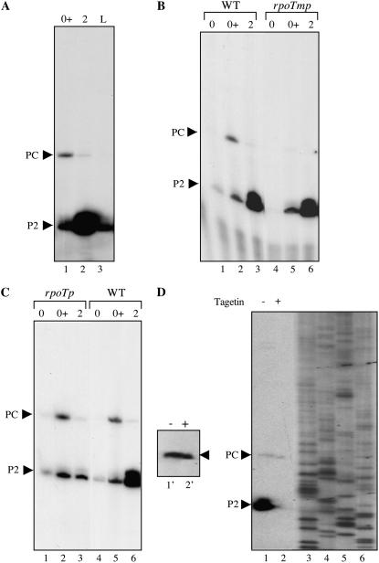 Figure 5.