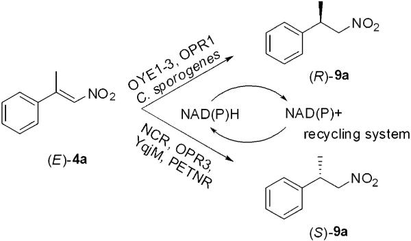 Scheme 3