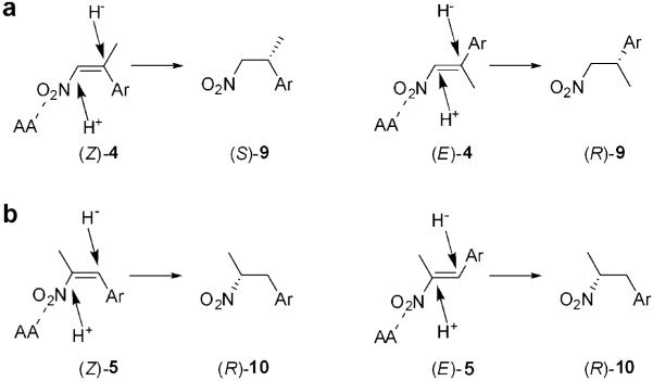 Scheme 4