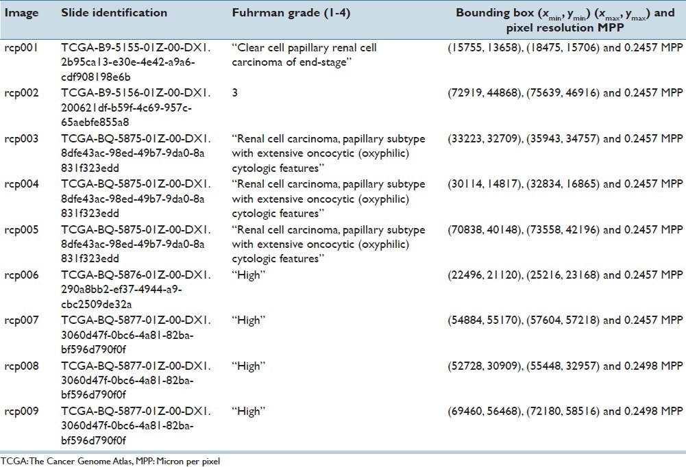 graphic file with name JPI-6-39-g003.jpg