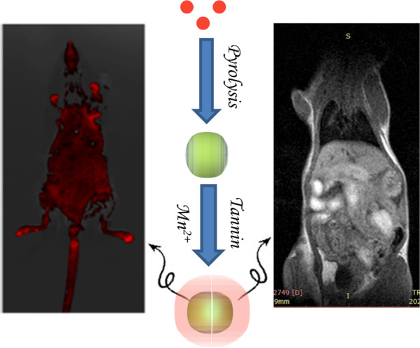 graphic file with name 10856_2021_6629_Figa_HTML.jpg