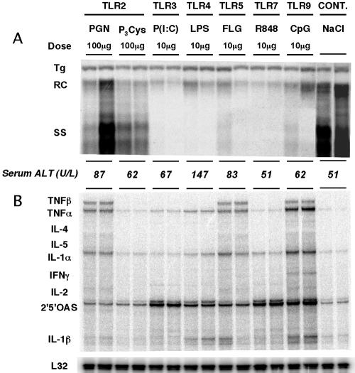 FIG. 1.