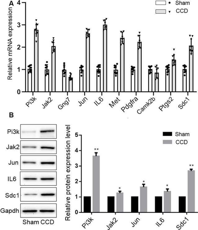 Figure 6