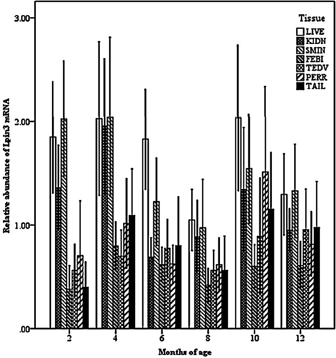 Figure 7