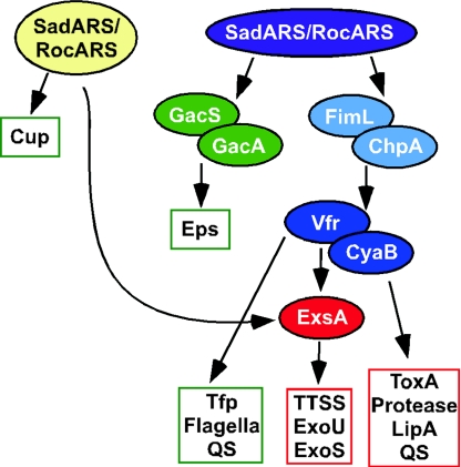 FIG. 2.