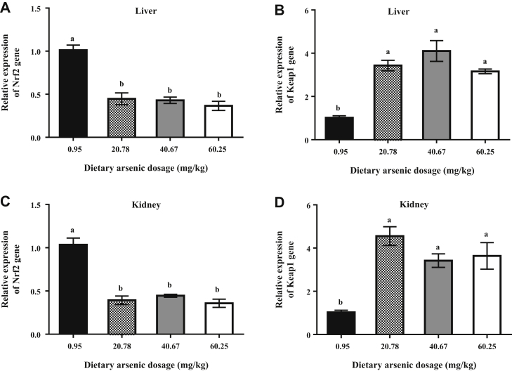 Figure 4