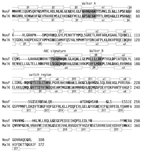 FIG. 7.