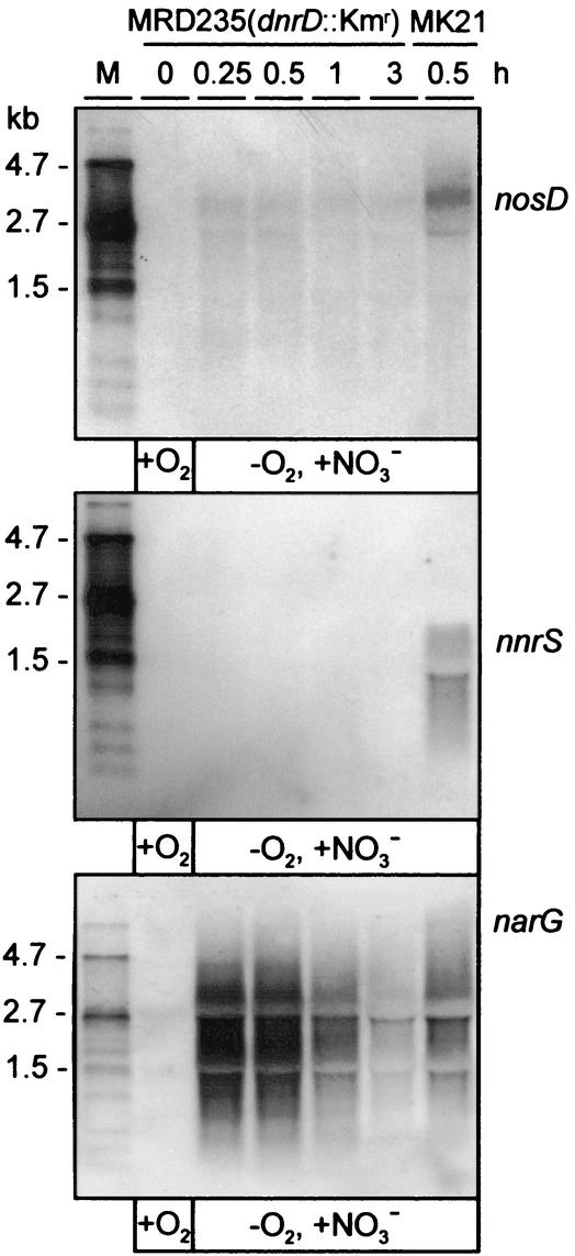 FIG. 5.