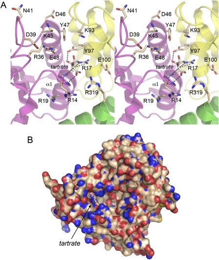 FIGURE 4.