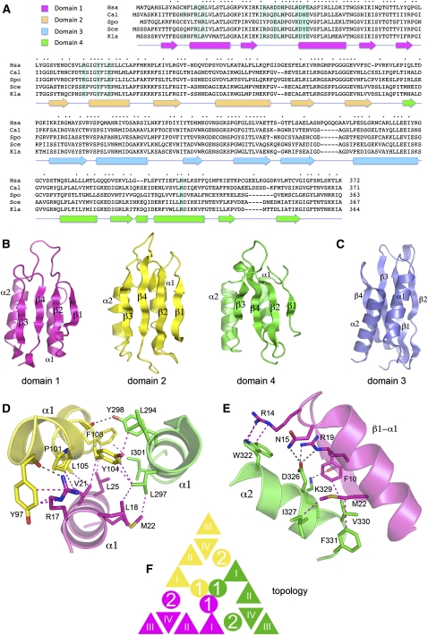 FIGURE 1.