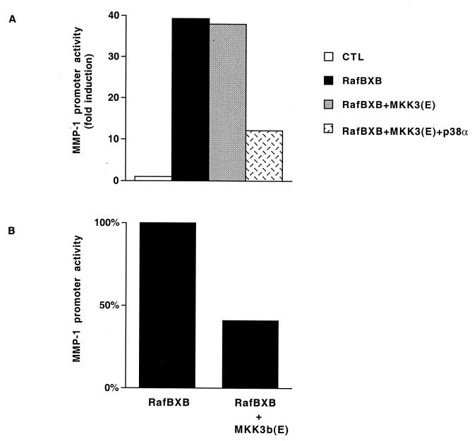 FIG. 7