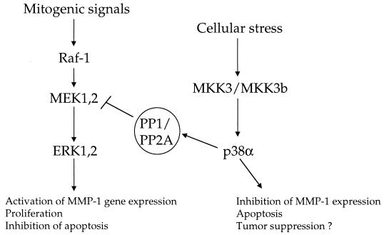 FIG. 9