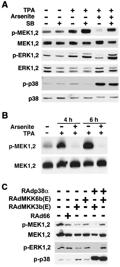 FIG. 6