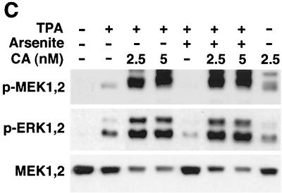 FIG. 8