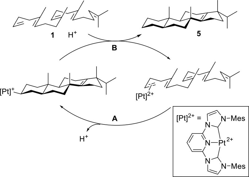 Scheme 2