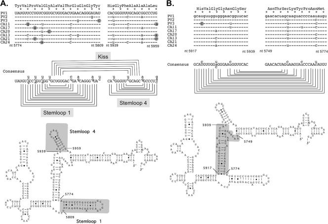 FIG. 4.