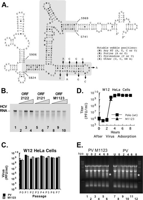 FIG. 10.