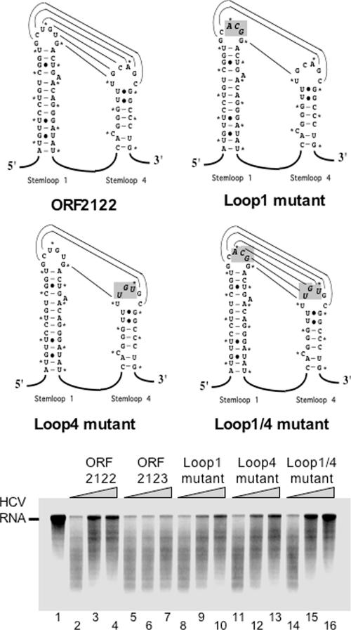 FIG. 6.