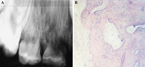 Fig. 5