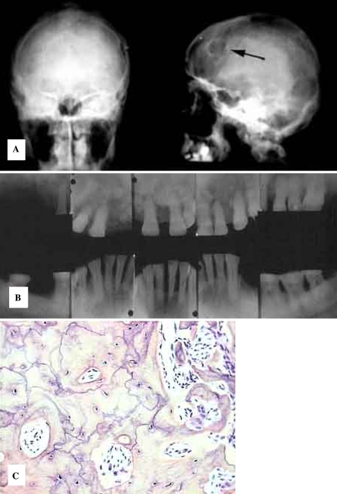 Fig. 4