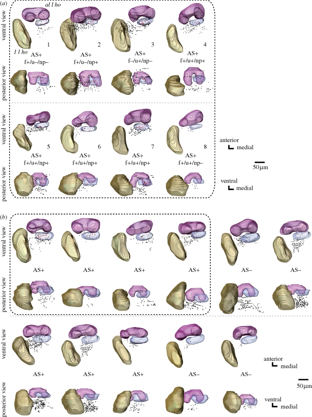 Figure 3.