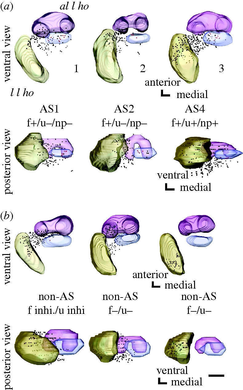 Figure 2.