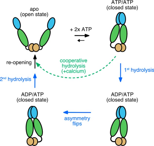 Figure 4.