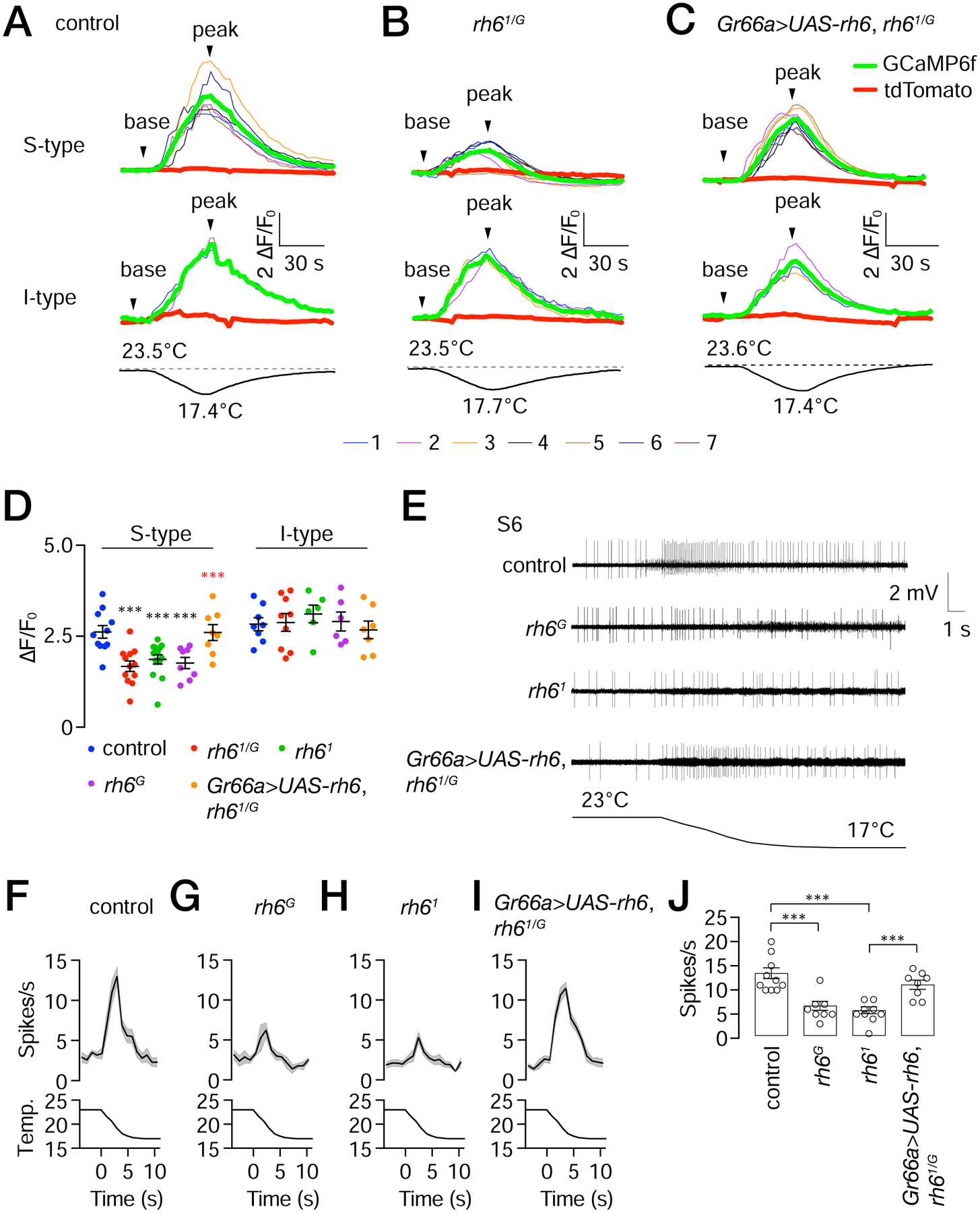 Figure 7.