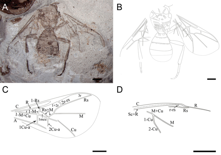 Figure 1.