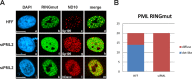 FIG 8