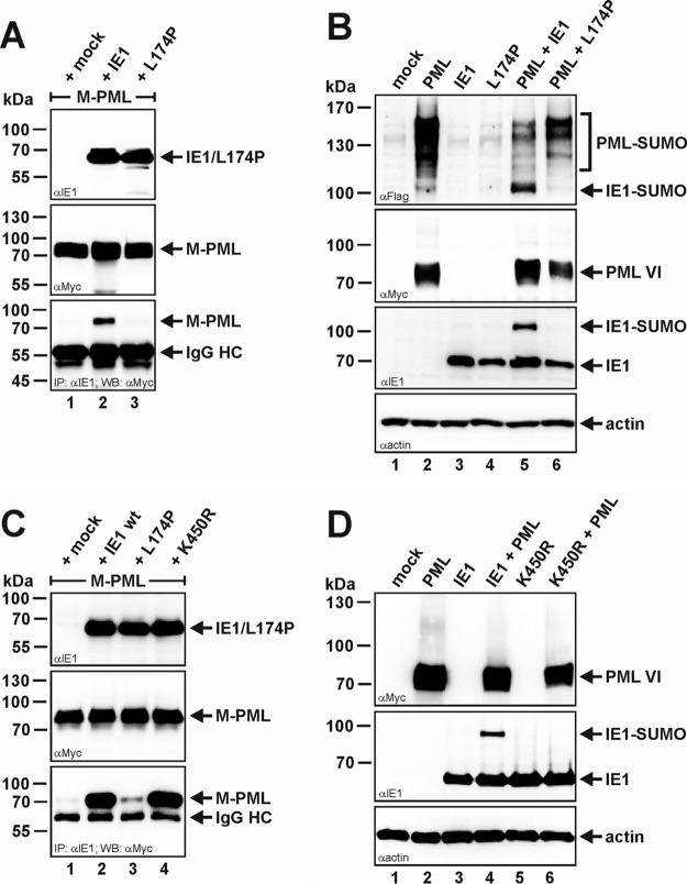 FIG 6