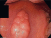 Fig. 5