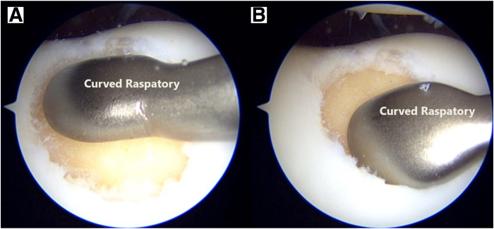 Fig 6