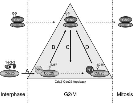 Figure 9.