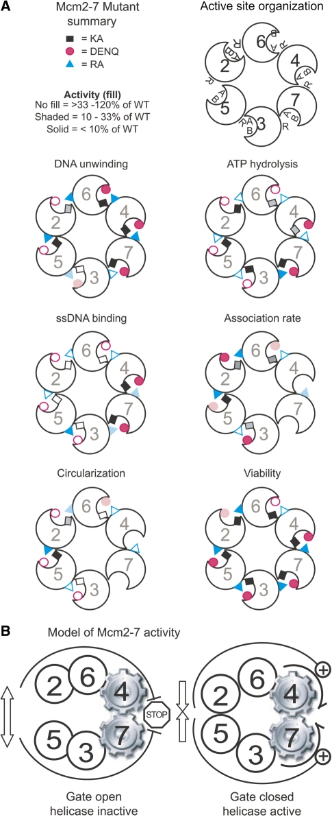 Figure 4.