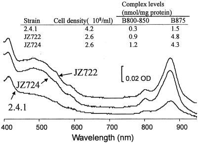 FIG. 2