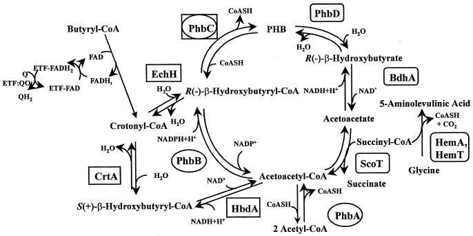 FIG. 6