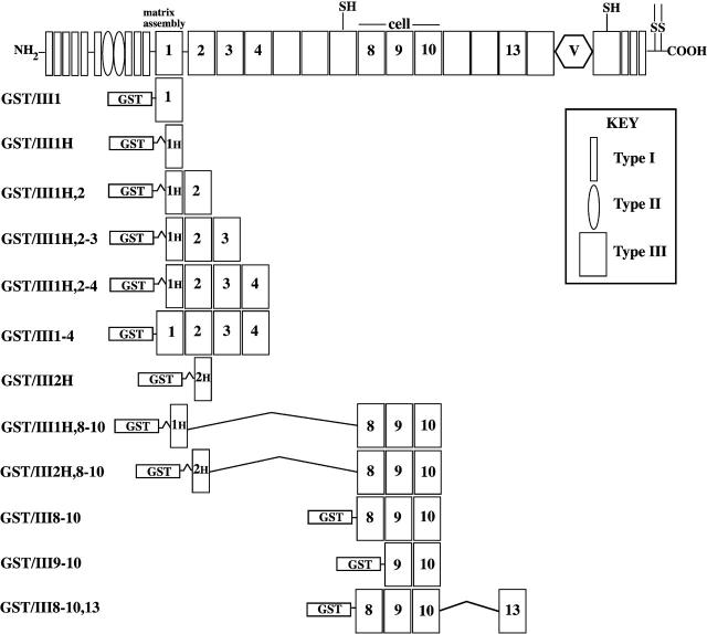 Figure 10.