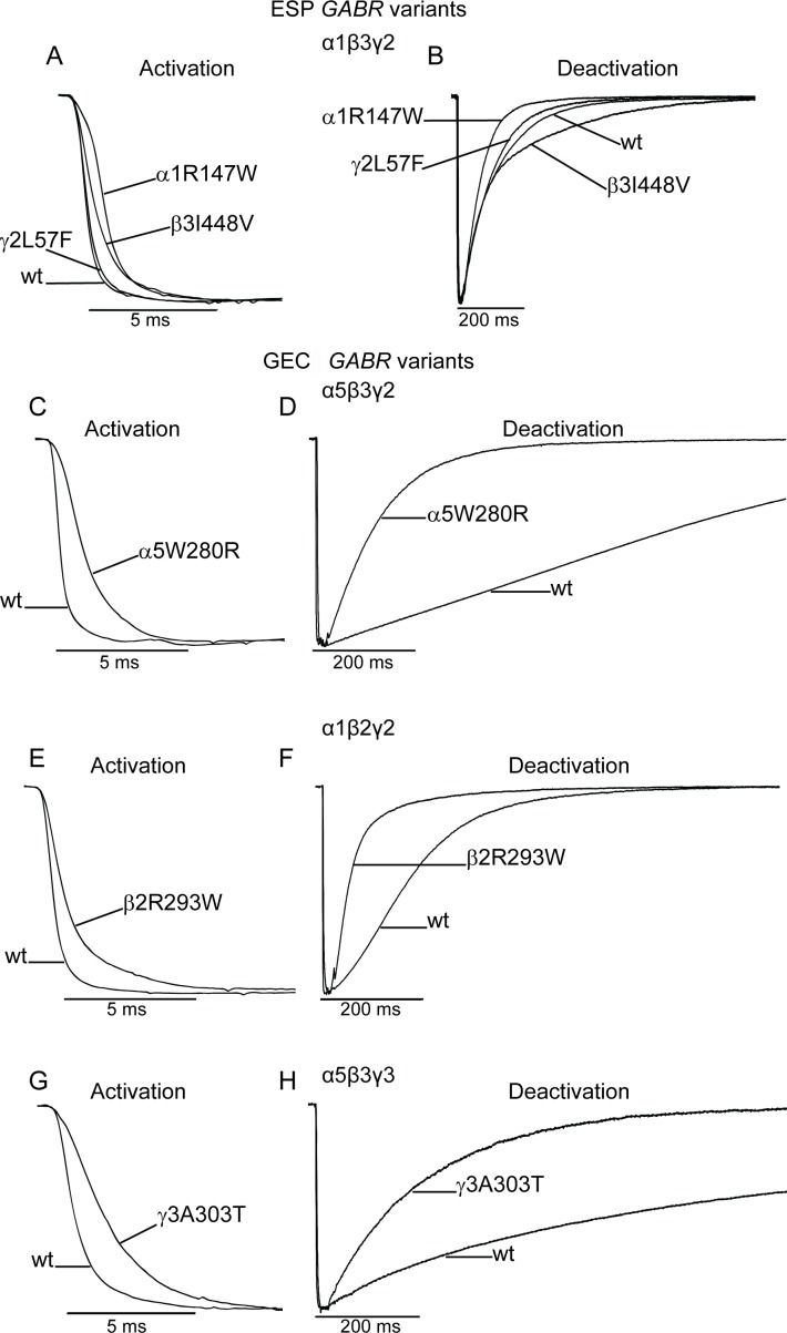 Fig 5