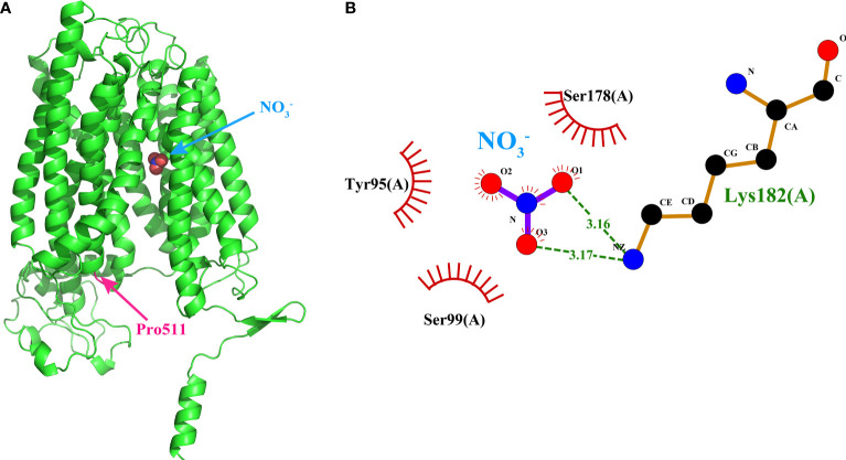 Figure 7