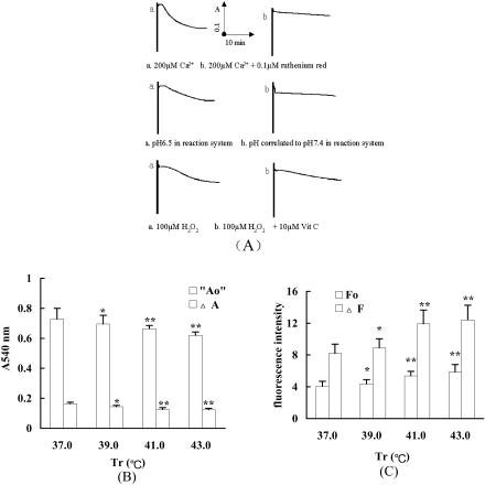 Fig 5.