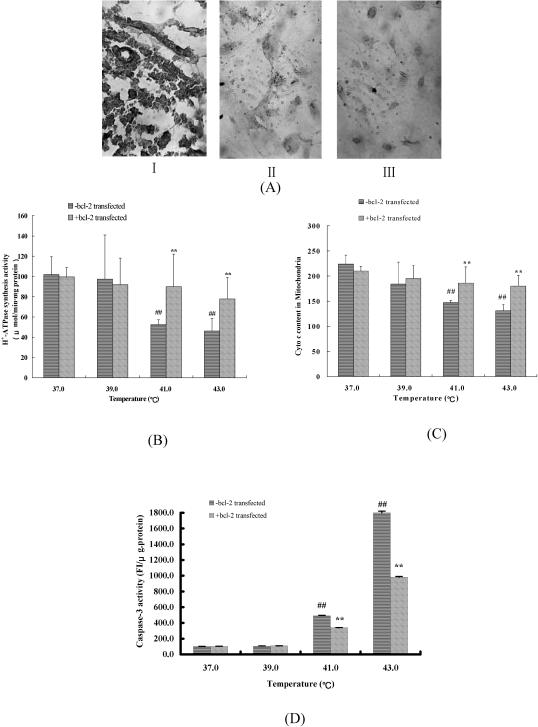 Fig 7.