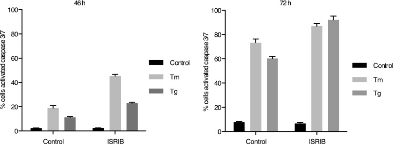 Figure 5—figure supplement 1.