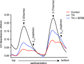 Figure 3—figure supplement 4.