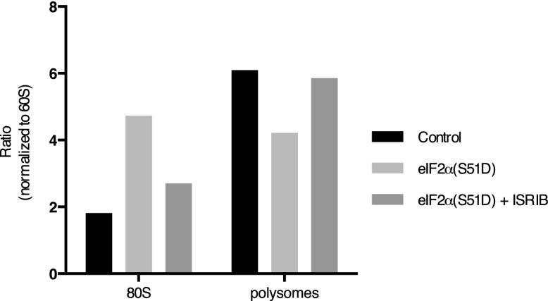 Figure 3—figure supplement 6.