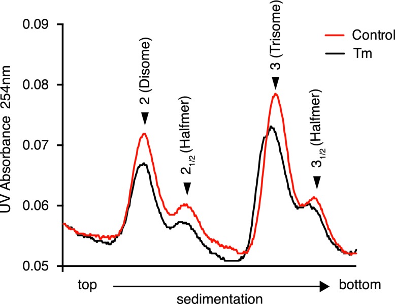 Figure 3—figure supplement 5.